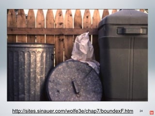 24http://sites.sinauer.com/wolfe3e/chap7/boundexF.htm
 