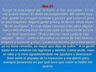 Mes 21: Tengo 10 días bajo el sol, la lluvia, el frío, sin comer. Ya no me puedo mover. El dolor es insoportable. Me siento muy mal; quedé en un lugar húmedo y parece que hasta mi pelo se está cayendo. Alguna gente pasa y ni me ve; otras dicen: "No te acerques" Ya casi estoy inconsciente; pero alguna fuerza extraña me hizo abrir los ojos. La dulzura de su voz me hizo reaccionar. "Pobre perrito, mira como te han dejado", decía... junto a ella venía un señor de bata blanca, empezó a tocarme y dijo: "Lo siento señora, pero este perro ya no tiene remedio, es mejor que deje de sufrir." A la gentil dama se le salieron las lágrimas y asintió. Como pude, moví el rabo y la miré agradeciéndole me ayudara a descansar. Solo sentí el piquete de la inyección y me dormí para siempre pensando en por qué tuve que nacer si nadie me quería. 