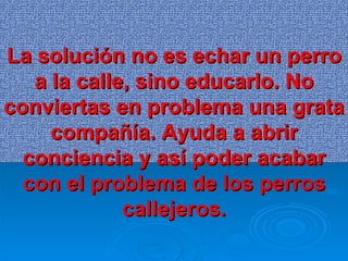 La solución no es echar un perro a la calle, sino educarlo. No conviertas en problema una grata compañía. Ayuda a abrir conciencia y así poder acabar con el problema de los perros callejeros. 