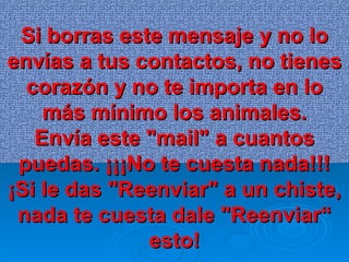Si borras este mensaje y no lo envías a tus contactos, no tienes corazón y no te importa en lo más mínimo los animales. Envía este "mail" a cuantos puedas. ¡¡¡No te cuesta nada!!! ¡Si le das "Reenviar" a un chiste, nada te cuesta dale "Reenviar“ esto! 