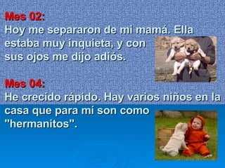 Mes 02: Hoy me separaron de mi mamá. Ella estaba muy inquieta, y con  sus ojos me dijo adiós.    Mes 04: He crecido rápido. Hay varios niños en la casa que para mí son como "hermanitos".  