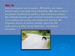 Mes 16: Hoy me bajaron de la azotea. ¡Mi familia me había perdonado y me puse muy contento! ¡Me iban a llevar de paseo! Subimos al coche y nos fuimos al campo. No comprendo por qué cerraron la puerta y se fueron. Corrí detrás del coche con todas mis fuerzas. Mi angustia crecía al darme cuenta, que casi me desvanecía y ellos no se detenían: me habían olvidado. 