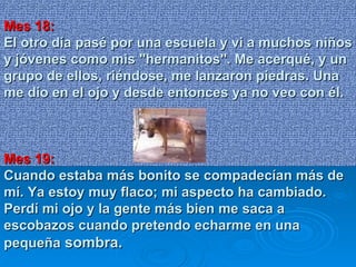 Mes 18: El otro día pasé por una escuela y vi a muchos niños y jóvenes como mis "hermanitos". Me acerqué, y un grupo de ellos, riéndose, me lanzaron piedras. Una me dio en el ojo y desde entonces ya no veo con él.  Mes 19: Cuando estaba más bonito se compadecían más de mí. Ya estoy muy flaco; mi aspecto ha cambiado. Perdí mi ojo y la gente más bien me saca a escobazos cuando pretendo echarme en una pequeña  sombra. 