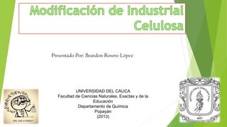 Presentado Por: Brandon Rosero López

UNIVERSIDAD DEL CAUCA
Facultad de Ciencias Naturales, Exactas y de la
Educación
Departamento de Química
Popayán
(2013)

 