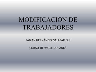 MODIFICACION DE
TRABAJADORES
FABIAN HERNÁNDEZ SALAZAR 3.8
COBAQ 18 “VALLE DORADO”
 
