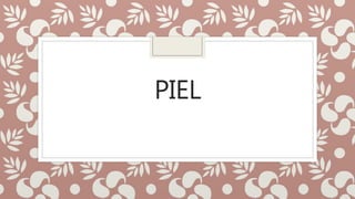 PIEL
 