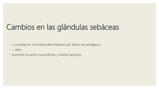 Cambios en las glándulas sebáceas
◦ > actividad en 3 trimestre del embarazo por efecto de estrógenos
◦ > sebo
◦ Aumento en pezón para lubricar y facilitar lactancia
 