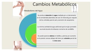 Cambios Metabólicos
◦ Metabolismo del Agua
Se produce retención de agua mediada por un decremento
en la osmolaridad plasmática de casi 10 mOsm/kg por reajuste
de los umbrales para la sed y secreción de vasopresina.
La mínima cantidad de agua adicional que la mujer promedio
acumula durante el embarazo normal es de casi 6.5 L.
Se puede apreciar edema en tobillos y piernas por aumento
en la presión venosa debajo del útero por oclusión parcial de
la vena cava.
 