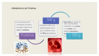 ◦ Metabolismo de Proteínas
• Los productos de la
concepción, el útero y
la sangre materna son
ricos en proteínas.
Proteínas
• A término el feto y la
placenta pesan casi 4
kg, y contienen cerca
de 500 g de proteínas.
500 g
• Otros 500 g se añaden al
útero como proteínas
contráctiles, a las mamas
y a la sangre como
proteínas plasmáticas y
hemoglobina.
+ 500 g
 