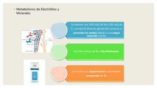 ◦ Metabolismo de Electrólitos y
Minerales
Se retienen casi 1000 mEq de Na y 300 mEq de
K, y aunque la filtración glomerular aumenta su
excreción no cambia debido a una mayor
resorción tubular.
Las cifras séricas de Ca y Mg disminuyen.
Se produce un requerimiento notoriamente
aumentado de Fe.
 