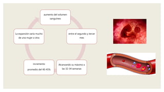 aumento del volumen
sanguíneo
entre el segundo y tercer
mes
Alcanzando su máximo a
las 32-34 semanas
incremento
promedio del 40-45%
La expansión varía mucho
de una mujer a otra
 