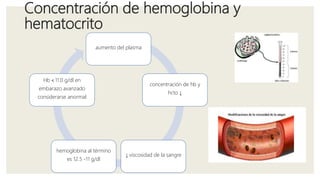 Concentración de hemoglobina y
hematocrito
aumento del plasma
concentración de hb y
hcto ↓
↓ viscosidad de la sangre
hemoglobina al término
es 12.5 -11 g/dl
Hb < 11.0 g/dl en
embarazo avanzado
considerarse anormal
 