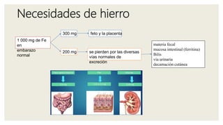 Necesidades de hierro
1 000 mg de Fe
en
embarazo
normal
300 mg feto y la placenta
200 mg se pierden por las diversas
vías normales de
excreción
materia fecal
mucosa intestinal (ferritina)
Bilis
vía urinaria
decamación cutánea
 