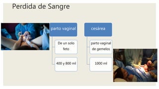Perdida de Sangre
parto vaginal
De un solo
feto
400 y 800 ml
cesárea
parto vaginal
de gemelos
1000 ml
 