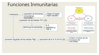 Funciones Inmunitarias
embarazo supresión de funciones
inmunitarias
humorales
Alojar el injerto
fetal “extraño”
supresión de las células Th1 y Tc
disminuye la secreción
IL-2
interferón g
TNF-b
aumento regulado de las células Th2 secreción de IL-4, IL-6 e IL-13
inhiben muchas de las
funciones del
macrófago
 