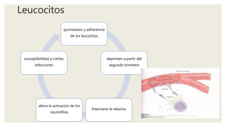 Leucocitos
quimiotaxis y adherencia
de los leucocitos
deprimen a partir del
segundo trimestre
Interviene la relaxina
altera la activación de los
neutrófilos
susceptibilidad a ciertas
infecciones
 