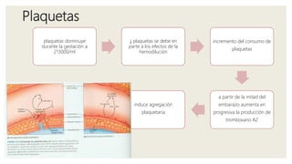 Plaquetas
plaquetas disminuye
durante la gestación a
213000/ml
↓ plaquetas se debe en
parte a los efectos de la
hemodilución
incremento del consumo de
plaquetas
a partir de la mitad del
embarazo aumenta en
progresiva la producción de
tromboxano A2
induce agregación
plaquetaria
 
