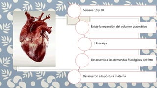Semana 10 y 20
Existe la expansión del volumen plasmático
↑ Precarga
De acuerdo a las demandas fisiológicas del feto
De acuerdo a la postura materna
 