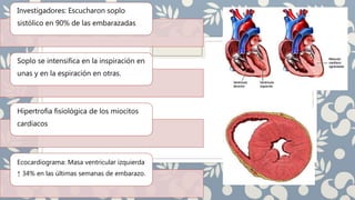 Investigadores: Escucharon soplo
sistólico en 90% de las embarazadas
Soplo se intensifica en la inspiración en
unas y en la espiración en otras.
Hipertrofia fisiológica de los miocitos
cardíacos
Ecocardiograma: Masa ventricular izquierda
↑ 34% en las últimas semanas de embarazo.
 