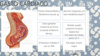 Presión Arterial Media y
Resistencia vascular ↓
Volumen sanguíneo y la
tasa metabólica basal ↑
Útero gestante
comprime en forma
constante el Retorno
Venoso
También puede
comprimir la Aorta
Abdominal
Embarazos múltiples ↑
casi un 20%
1era etapa de trabajo
parto: GC ↑
2da etapa: mucho
mayor
Postparto: ↓ (pérdida
sanguínea)
 
