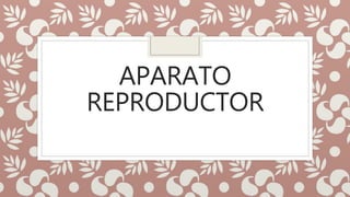 APARATO
REPRODUCTOR
 