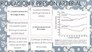 PA ↓ hasta la semana 24 y
26 y luego se eleva.
La presión diastólica
disminuye más que la
sistólica
Presión Venosa Femoral
↑ en posición supina
Disminuye en posición
decúbito lateral
↓ Presión Venosa en los
MI se debe :
Oclusión de las venas
pélvicas y la vena cava
inferior por el Útero
Gestante
Contribuye al edema y a
las varices de MI y vulva
Hemorroides
 