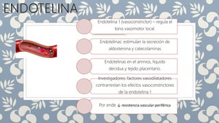 Endotelina 1 (vasoconstrictor) – regula el
tono vasomotor local.
Endotelinas: estimulan la secreción de
aldosterona y catecolaminas
Endotelinas en el amnios, líquido
decidua y tejido placentario.
Investigadores: factores vasodilatadores
contrarrestan los efectos vasoconstrictores
de la endotelina 1
Por ende ↓ resistencia vascular periférica
 