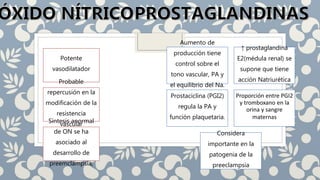 Potente
vasodilatador
Probable
repercusión en la
modificación de la
resistencia
vascularSíntesis anormal
de ON se ha
asociado al
desarrollo de
preemclampsia,
Aumento de
producción tiene
control sobre el
tono vascular, PA y
el equilibrio del Na.
↑ prostaglandina
E2(médula renal) se
supone que tiene
acción Natriurética
Prostaciclina (PGI2)
regula la PA y
función plaquetaria.
Proporción entre PGI2
y tromboxano en la
orina y sangre
maternas
Considera
importante en la
patogenia de la
preeclampsia
 