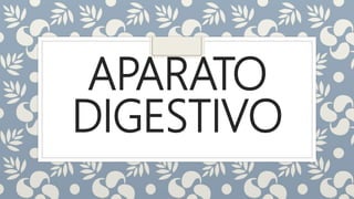 APARATO
DIGESTIVO
 