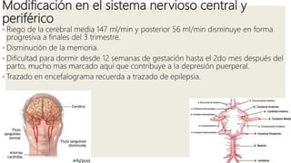 Modificación en el sistema nervioso central y
periférico
◦ Riego de la cerebral media 147 ml/min y posterior 56 ml/min disminuye en forma
progresiva a finales del 3 trimestre.
◦ Disminución de la memoria.
◦ Dificultad para dormir desde 12 semanas de gestación hasta el 2do mes después del
parto, mucho mas marcado aquí que contribuye a la depresión puerperal.
◦ Trazado en encefalograma recuerda a trazado de epilepsia.
 
