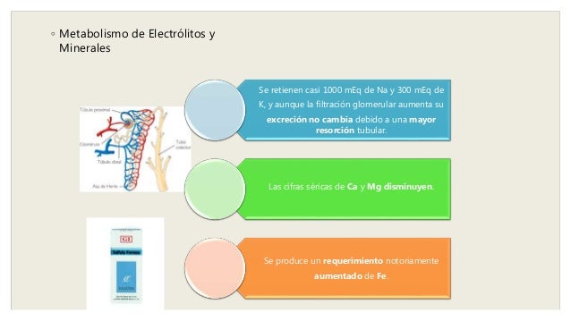 Similar a instituto metabolismo celular