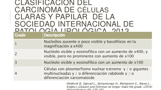 Modificaciones A La Clasificacion De Gleason Y Fuhrman