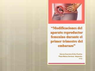 “Modificaciones del
aparato reproductor
femenino durante el
primer trimestre del
    embarazo”

      García Guerrero Erika Paulina
     Plaza Matus Denisse Alejandra
                              1112
 