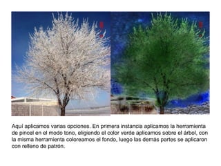 Aquí aplicamos varias opciones. En primera instancia aplicamos la herramienta de pincel en el modo tono, eligiendo el color verde aplicamos sobre el árbol, con la misma herramienta coloreamos el fondo, luego las demás partes se aplicaron con relleno de patrón. 