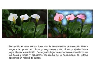 Se cambio el color de las flores con la herramientas de selección libre y luego a la opción de colores y luego avance de colores y ajustar hasta logra el color establecido. En segundo lugar seleccionamos el contorno de las flores y hojas y aplicamos por medio de la herramienta de relleno aplicando un relleno de patrón. 