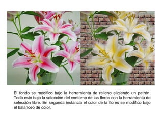 El fondo se modifico bajo la herramienta de relleno eligiendo un patrón. Todo esto bajo la selección del contorno de las flores con la herramienta de selección libre. En segunda instancia el color de la flores se modifico bajo el balanceo de color. 