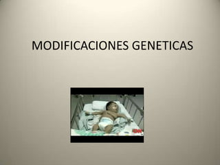 MODIFICACIONES GENETICAS 