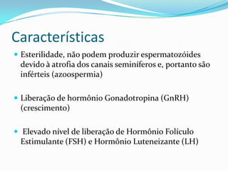 Características
 Esterilidade, não podem produzir espermatozóides
 devido à atrofia dos canais seminíferos e, portanto são
 inférteis (azoospermia)

 Liberação de hormônio Gonadotropina (GnRH)
 (crescimento)

 Elevado nível de liberação de Hormônio Folículo
 Estimulante (FSH) e Hormônio Luteneizante (LH)
 