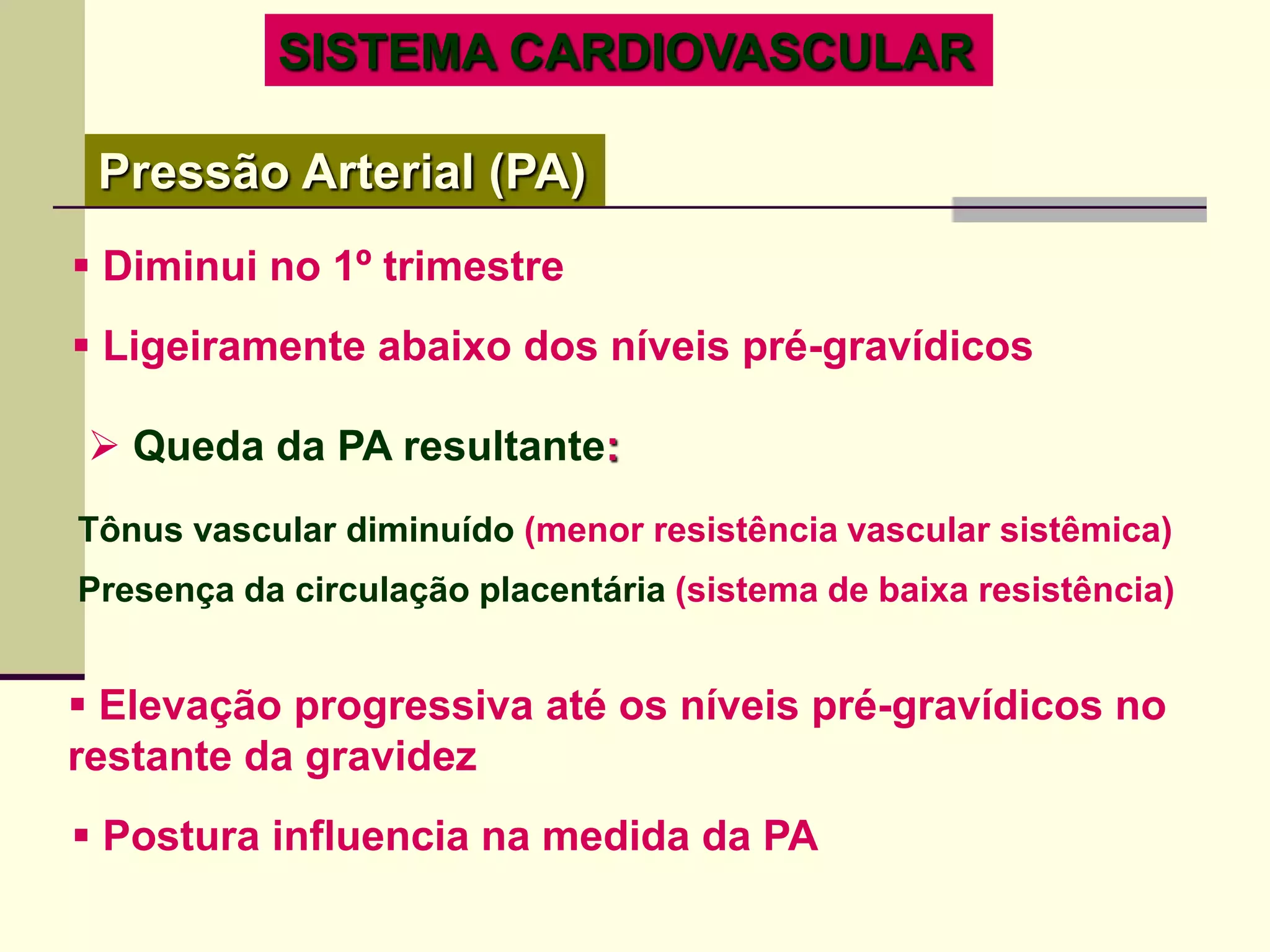Modificações no organismo da gestante | PPTX