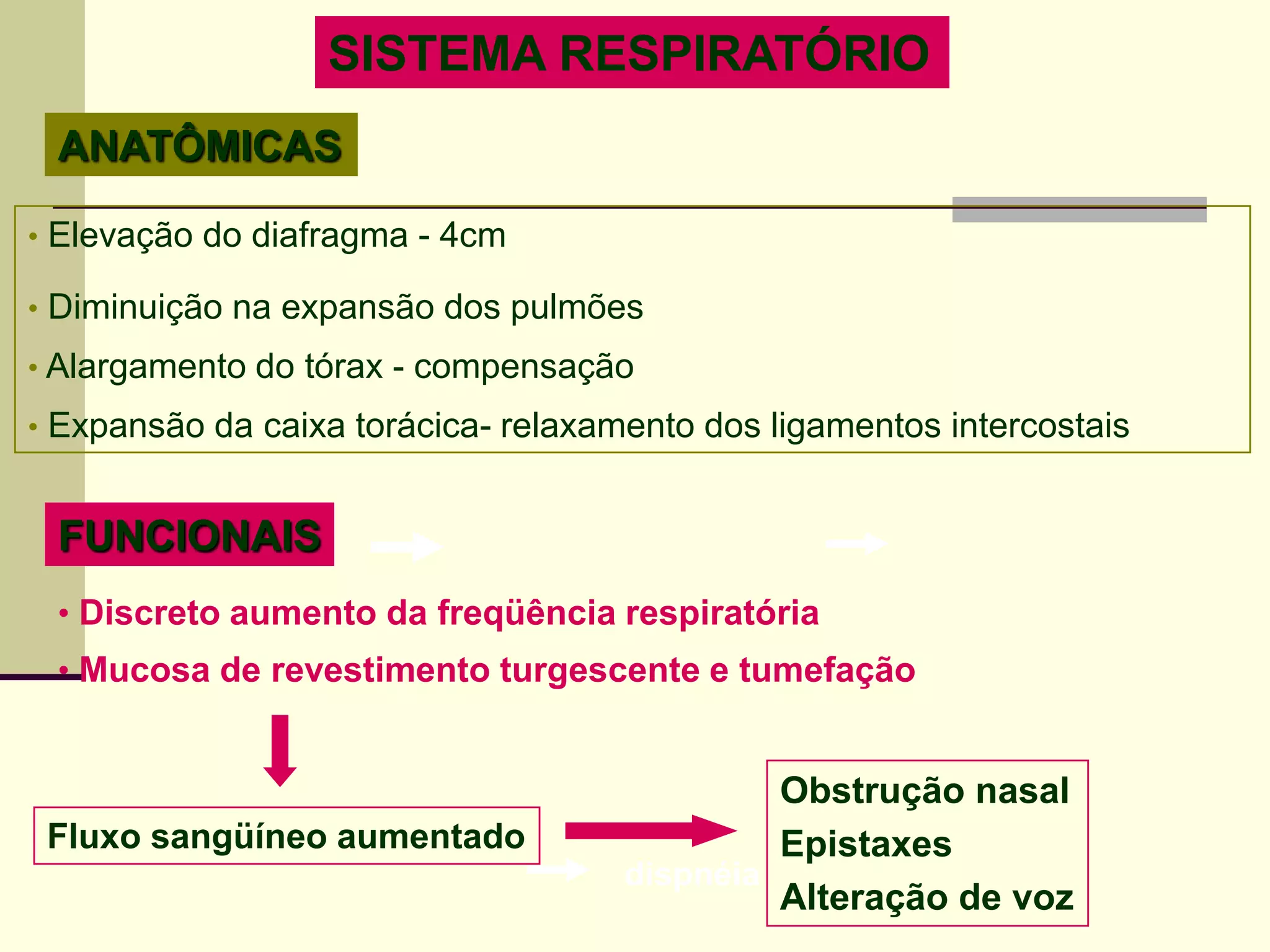 Modificações no organismo da gestante | PPTX
