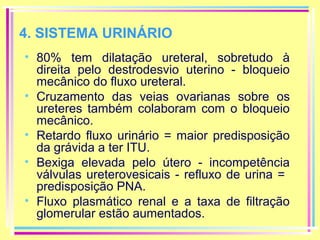 4. SISTEMA URINÁRIO
• 80% tem dilatação ureteral, sobretudo à
direita pelo destrodesvio uterino - bloqueio
mecânico do fluxo ureteral.
• Cruzamento das veias ovarianas sobre os
ureteres também colaboram com o bloqueio
mecânico.
• Retardo fluxo urinário = maior predisposição
da grávida a ter ITU.
• Bexiga elevada pelo útero - incompetência
válvulas ureterovesicais - refluxo de urina =
predisposição PNA.
• Fluxo plasmático renal e a taxa de filtração
glomerular estão aumentados.

 
