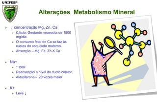 Alterações  Metabolismo Mineral ↓ concentração Mg, Zn, CaCálcio: Gestantenecessita de 1500 mg/dia.O consumo fetal de Ca se fazàscustas do esqueletomaterno.Absorção – Mg, Fe, Zn X CaNa+↑ total Reabsorção a nível do ductocoletor.Aldosterona -  20 vezesmaiorK+Leve ↓