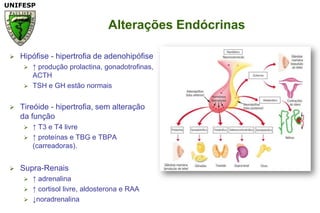 Alterações EndócrinasHipófise - hipertrofia de adenohipófise ↑ produção prolactina, gonadotrofinas, ACTHTSH e GH estão normaisTireóide - hipertrofia, sem alteração da função↑ T3 e T4 livre↑ proteínas e TBG e TBPA (carreadoras). Supra-Renais↑ adrenalina ↑ cortisol livre, aldosterona e RAA↓noradrenalina