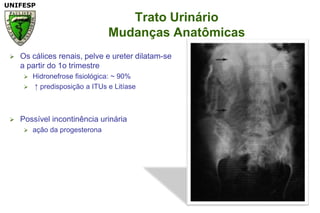 Trato UrinárioMudanças AnatômicasOs cálicesrenais, pelve e ureterdilatam-se a partir do 1o trimestreHidronefrosefisiológica: ~ 90% ↑ predisposição a ITUs e LitíasePossívelincontinênciaurináriaaçãodaprogesterona