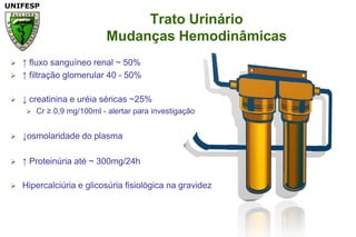 Trato Urinário Mudanças Hemodinâmicas↑ fluxosanguíneo renal ~ 50%↑ filtraçãoglomerular 40 - 50%↓ creatinina e uréiaséricas ~25%Cr ≥ 0,9 mg/100ml - alertarparainvestigação↓osmolaridade do plasma↑ Proteinúriaaté ~ 300mg/24hHipercalciúria e glicosúriafisiológicanagravidez