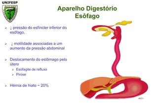 Aparelho DigestórioEsôfago↓ pressão do esfíncter inferior do esôfago,  ↓ motilidade associadas a um aumento da pressão abdominal Deslocamento do estômago pelo útero Esofagite de refluxo PiroseHérnia de hiato ~ 20%