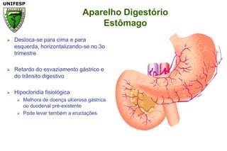 Aparelho DigestórioEstômagoDesloca-se paracima e paraesquerda, horizontalizando-se no 3o trimestreRetardo do esvaziamentogástrico e do trânsitodigestivoHipocloridiafisiológicaMelhora de doençaulcerosagástricaou duodenal pré-existentePodelevartambém a eructações