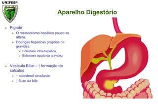 Aparelho DigestórioFígadoO metabolismo hepático pouco se altera.Doenças hepáticas próprias da gravidezColestase intra-hepática, Esteatose aguda da gravidezVesícula Biliar - ↑ formação de cálculos↑ colesterol circulante↓ fluxo da bile