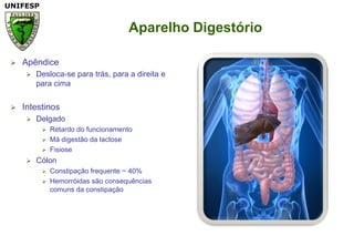 Aparelho DigestórioApêndiceDesloca-se para trás, para a direita e para cima IntestinosDelgadoRetardo do funcionamento Má digestão da lactose FisioseCólonConstipação frequente ~ 40%Hemorróidas são consequências comuns da constipação