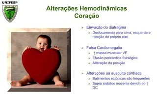 Alterações HemodinâmicasCoraçãoElevação do diafragmaDeslocamentoparacima, esquerda e rotação do próprioeixoFalsaCardiomegalia ↑ massa muscular VEEfusãopericárdicafisiológicaAlteraçãodaposiçãoAlteraçõesaaauscultacardíacaBatimentosectópicossãofrequentesSoprosistólicoinocentedevidoao ↑ DC